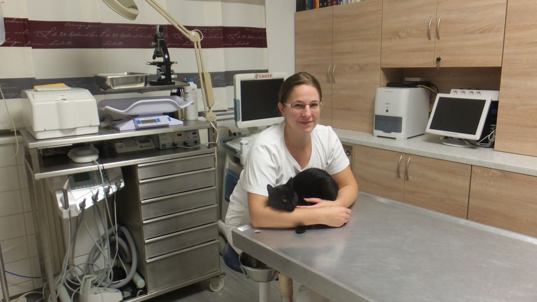 Mag. Danzinger mit Katze
